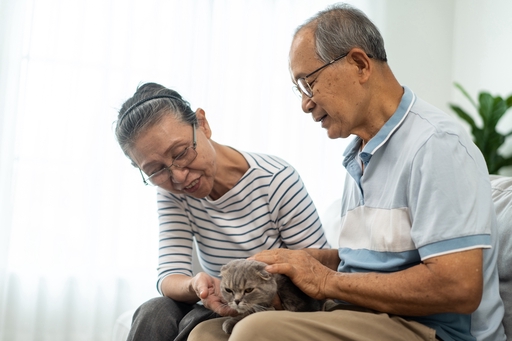 Two elderly people sitting together with their cat.